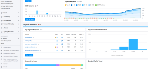 Top organic keywords Overview