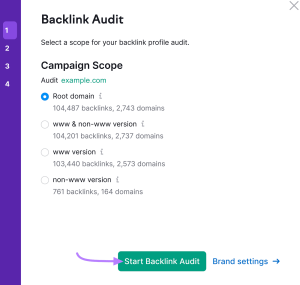 Backlink Audit
